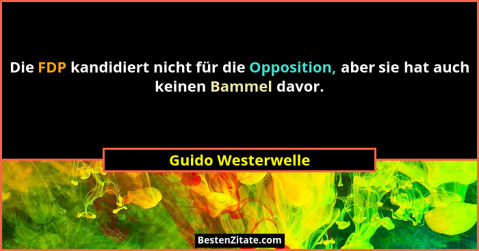Die FDP kandidiert nicht für die Opposition, aber sie hat auch keinen Bammel davor.... - Guido Westerwelle