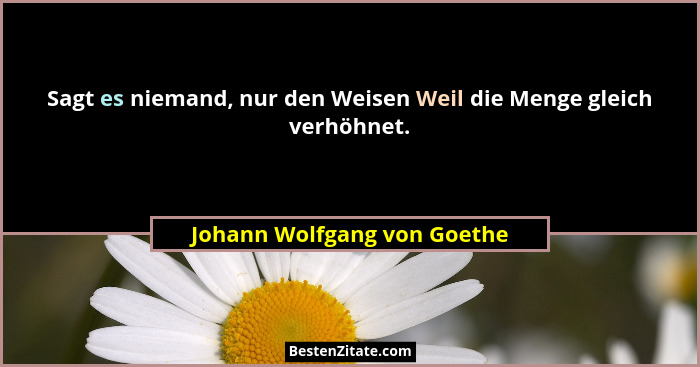 Sagt es niemand, nur den Weisen Weil die Menge gleich verhöhnet.... - Johann Wolfgang von Goethe