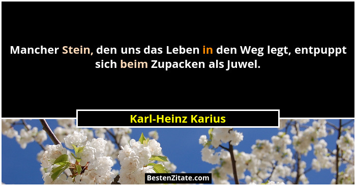 Mancher Stein, den uns das Leben in den Weg legt, entpuppt sich beim Zupacken als Juwel.... - Karl-Heinz Karius