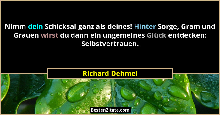 Nimm dein Schicksal ganz als deines! Hinter Sorge, Gram und Grauen wirst du dann ein ungemeines Glück entdecken: Selbstvertrauen.... - Richard Dehmel