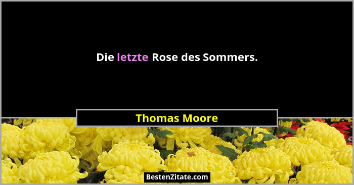 Die letzte Rose des Sommers.... - Thomas Moore