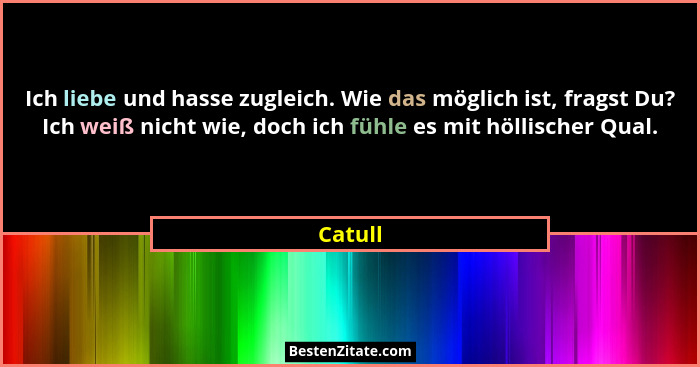 Ich liebe und hasse zugleich. Wie das möglich ist, fragst Du? Ich weiß nicht wie, doch ich fühle es mit höllischer Qual.... - Catull