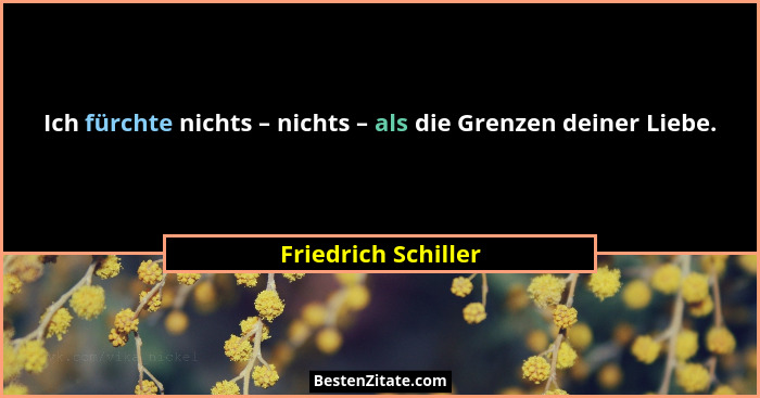 Ich fürchte nichts – nichts – als die Grenzen deiner Liebe.... - Friedrich Schiller