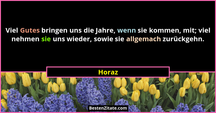 Viel Gutes bringen uns die Jahre, wenn sie kommen, mit; viel nehmen sie uns wieder, sowie sie allgemach zurückgehn.... - Horaz