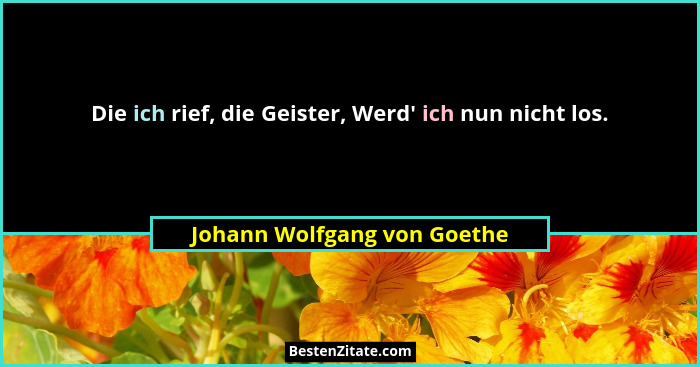 Die ich rief, die Geister, Werd' ich nun nicht los.... - Johann Wolfgang von Goethe
