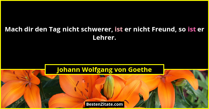 Mach dir den Tag nicht schwerer, ist er nicht Freund, so ist er Lehrer.... - Johann Wolfgang von Goethe