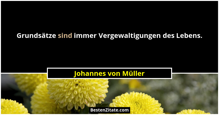 Grundsätze sind immer Vergewaltigungen des Lebens.... - Johannes von Müller