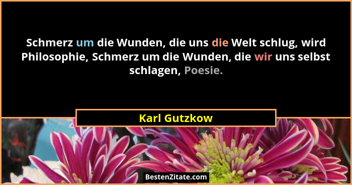 Schmerz um die Wunden, die uns die Welt schlug, wird Philosophie, Schmerz um die Wunden, die wir uns selbst schlagen, Poesie.... - Karl Gutzkow