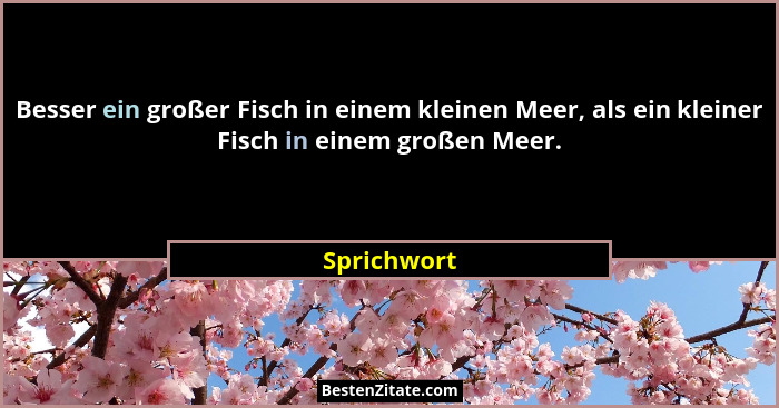 Besser ein großer Fisch in einem kleinen Meer, als ein kleiner Fisch in einem großen Meer.... - Sprichwort