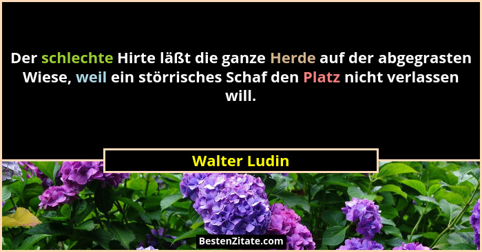 Der schlechte Hirte läßt die ganze Herde auf der abgegrasten Wiese, weil ein störrisches Schaf den Platz nicht verlassen will.... - Walter Ludin