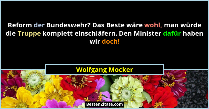 Reform der Bundeswehr? Das Beste wäre wohl, man würde die Truppe komplett einschläfern. Den Minister dafür haben wir doch!... - Wolfgang Mocker
