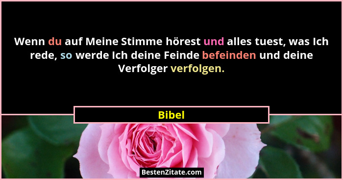 Wenn du auf Meine Stimme hörest und alles tuest, was Ich rede, so werde Ich deine Feinde befeinden und deine Verfolger verfolgen.... - Bibel
