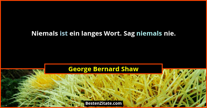 Niemals ist ein langes Wort. Sag niemals nie.... - George Bernard Shaw