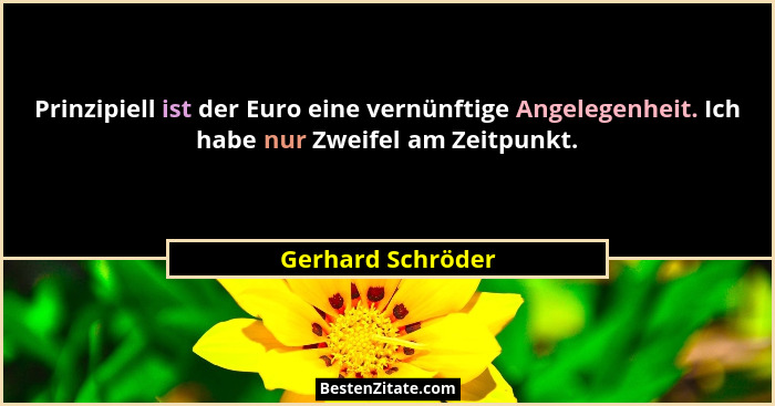 Prinzipiell ist der Euro eine vernünftige Angelegenheit. Ich habe nur Zweifel am Zeitpunkt.... - Gerhard Schröder