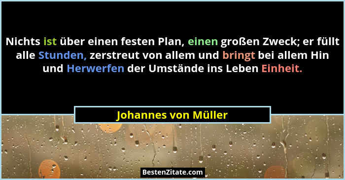 Nichts ist über einen festen Plan, einen großen Zweck; er füllt alle Stunden, zerstreut von allem und bringt bei allem Hin und H... - Johannes von Müller