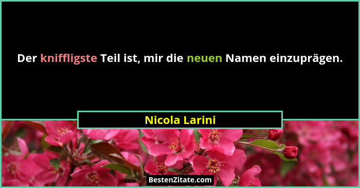Der kniffligste Teil ist, mir die neuen Namen einzuprägen.... - Nicola Larini