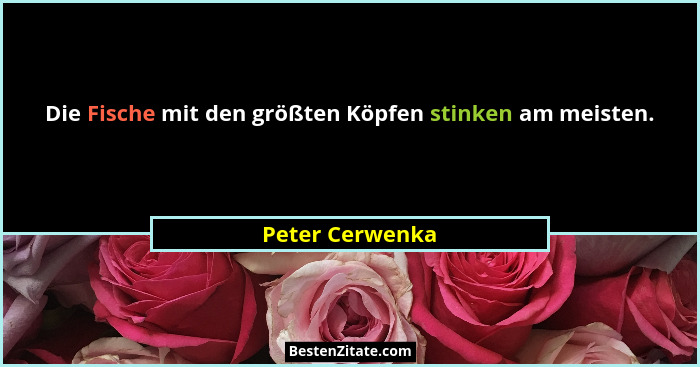 Die Fische mit den größten Köpfen stinken am meisten.... - Peter Cerwenka