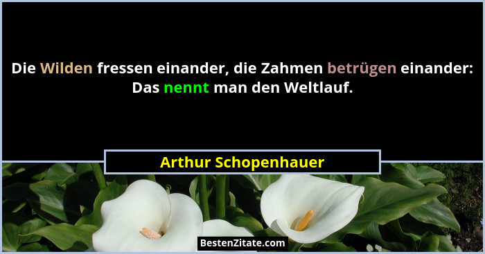 Die Wilden fressen einander, die Zahmen betrügen einander: Das nennt man den Weltlauf.... - Arthur Schopenhauer