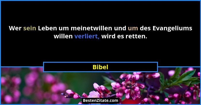 Wer sein Leben um meinetwillen und um des Evangeliums willen verliert, wird es retten.... - Bibel