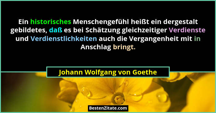 Ein historisches Menschengefühl heißt ein dergestalt gebildetes, daß es bei Schätzung gleichzeitiger Verdienste und Verdi... - Johann Wolfgang von Goethe