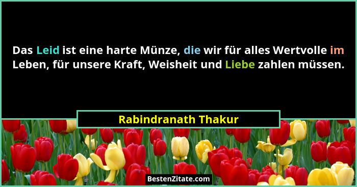 Das Leid ist eine harte Münze, die wir für alles Wertvolle im Leben, für unsere Kraft, Weisheit und Liebe zahlen müssen.... - Rabindranath Thakur
