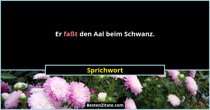 Er faßt den Aal beim Schwanz.... - Sprichwort