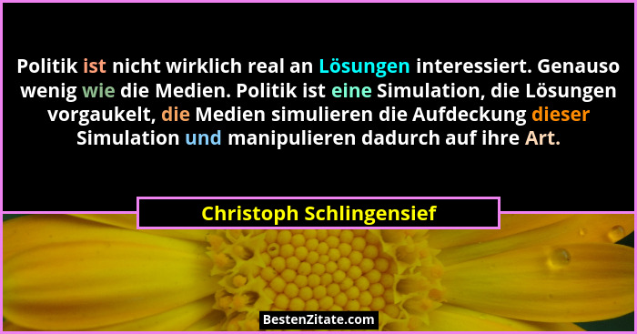 Politik ist nicht wirklich real an Lösungen interessiert. Genauso wenig wie die Medien. Politik ist eine Simulation, die Lös... - Christoph Schlingensief