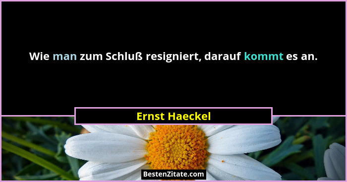 Wie man zum Schluß resigniert, darauf kommt es an.... - Ernst Haeckel