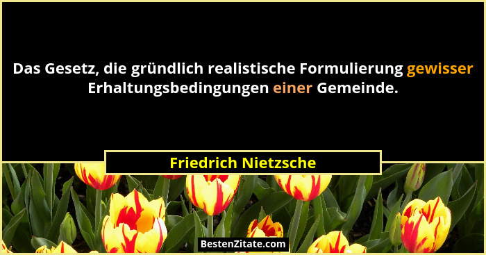 Das Gesetz, die gründlich realistische Formulierung gewisser Erhaltungsbedingungen einer Gemeinde.... - Friedrich Nietzsche