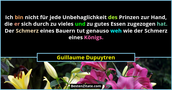 Ich bin nicht für jede Unbehaglichkeit des Prinzen zur Hand, die er sich durch zu vieles und zu gutes Essen zugezogen hat. Der S... - Guillaume Dupuytren