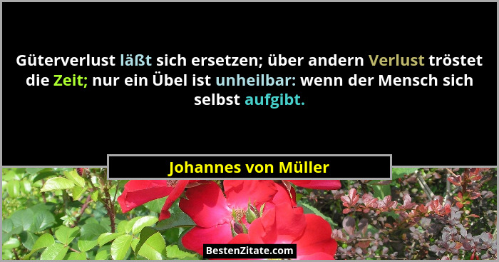 Güterverlust läßt sich ersetzen; über andern Verlust tröstet die Zeit; nur ein Übel ist unheilbar: wenn der Mensch sich selbst a... - Johannes von Müller
