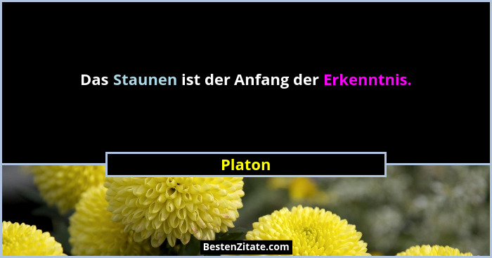 Das Staunen ist der Anfang der Erkenntnis.... - Platon