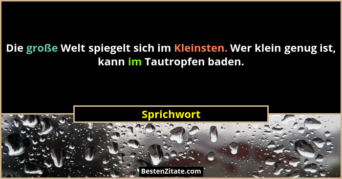 Die große Welt spiegelt sich im Kleinsten. Wer klein genug ist, kann im Tautropfen baden.... - Sprichwort