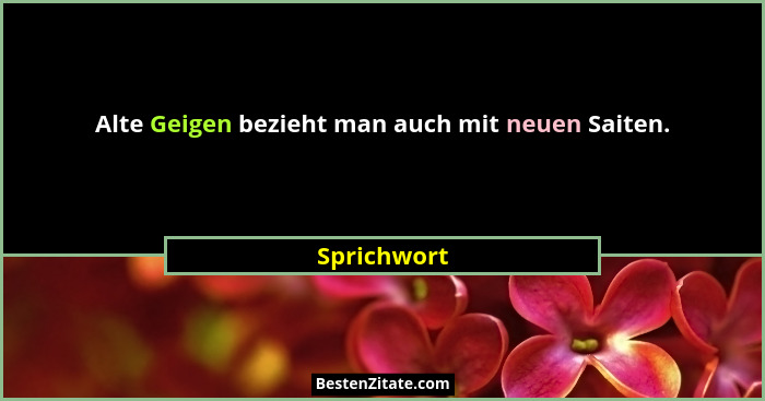 Alte Geigen bezieht man auch mit neuen Saiten.... - Sprichwort