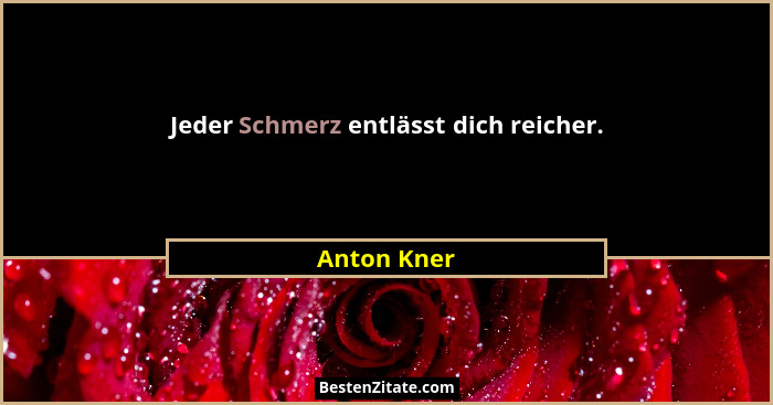 Jeder Schmerz entlässt dich reicher.... - Anton Kner