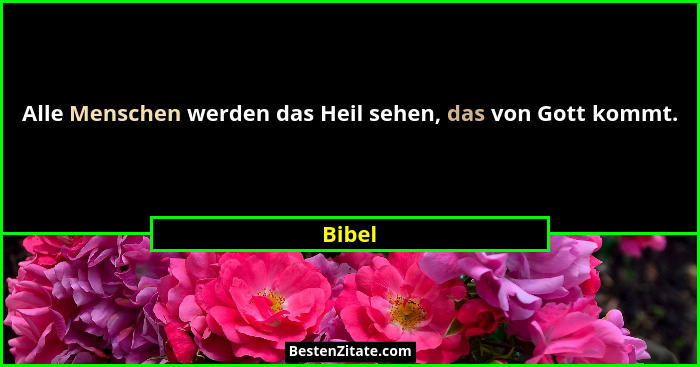 Alle Menschen werden das Heil sehen, das von Gott kommt.... - Bibel