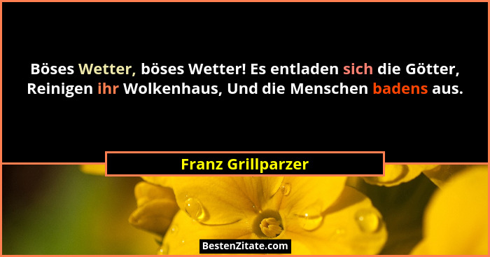 Böses Wetter, böses Wetter! Es entladen sich die Götter, Reinigen ihr Wolkenhaus, Und die Menschen badens aus.... - Franz Grillparzer