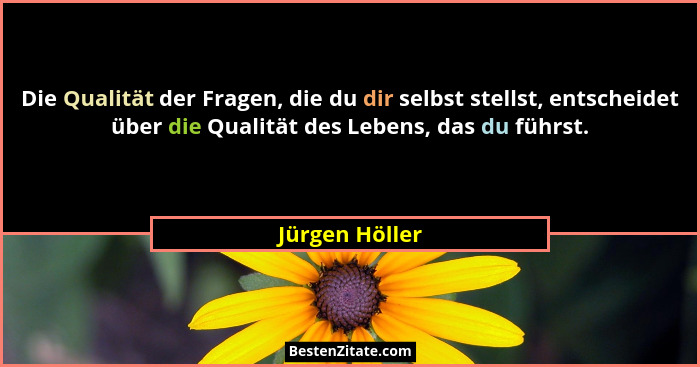 Die Qualität der Fragen, die du dir selbst stellst, entscheidet über die Qualität des Lebens, das du führst.... - Jürgen Höller