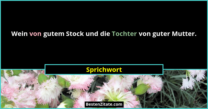 Wein von gutem Stock und die Tochter von guter Mutter.... - Sprichwort