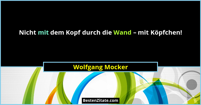 Nicht mit dem Kopf durch die Wand – mit Köpfchen!... - Wolfgang Mocker