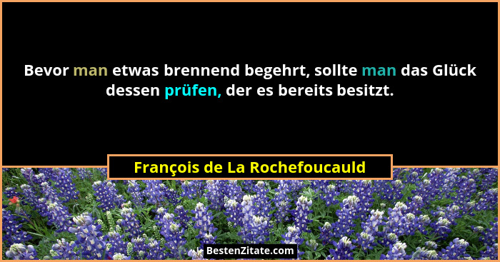 Bevor man etwas brennend begehrt, sollte man das Glück dessen prüfen, der es bereits besitzt.... - François de La Rochefoucauld