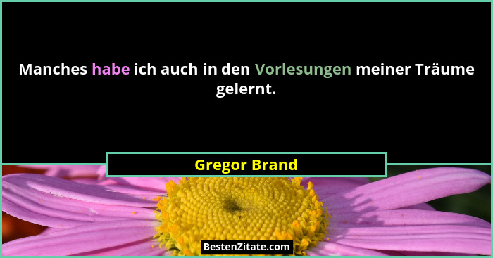 Manches habe ich auch in den Vorlesungen meiner Träume gelernt.... - Gregor Brand