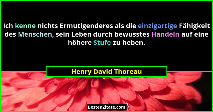 Ich kenne nichts Ermutigenderes als die einzigartige Fähigkeit des Menschen, sein Leben durch bewusstes Handeln auf eine höhere... - Henry David Thoreau