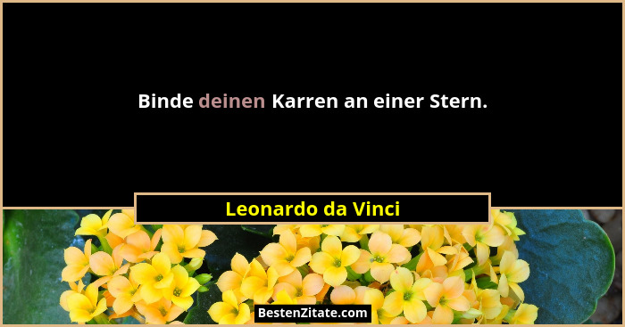 Binde deinen Karren an einer Stern.... - Leonardo da Vinci