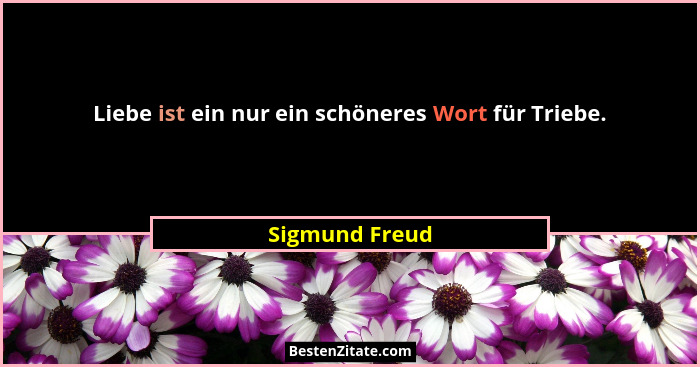 Liebe ist ein nur ein schöneres Wort für Triebe.... - Sigmund Freud