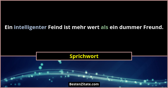 Ein intelligenter Feind ist mehr wert als ein dummer Freund.... - Sprichwort