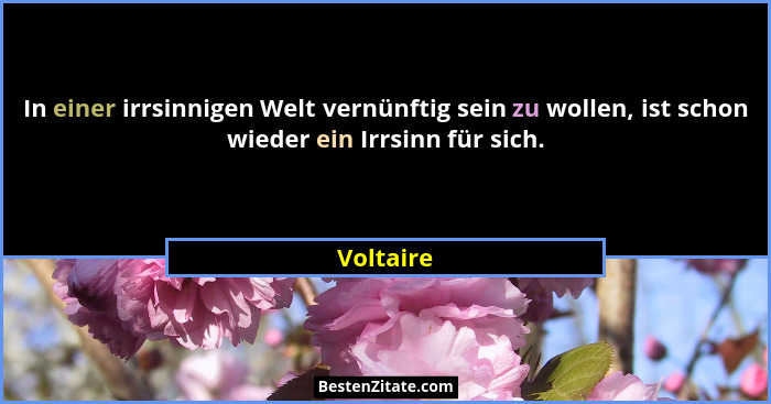 In einer irrsinnigen Welt vernünftig sein zu wollen, ist schon wieder ein Irrsinn für sich.... - Voltaire