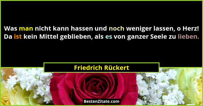 Was man nicht kann hassen und noch weniger lassen, o Herz! Da ist kein Mittel geblieben, als es von ganzer Seele zu lieben.... - Friedrich Rückert