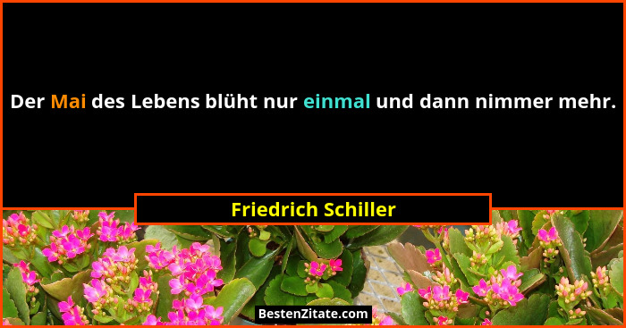 Der Mai des Lebens blüht nur einmal und dann nimmer mehr.... - Friedrich Schiller
