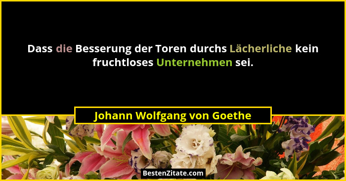 Dass die Besserung der Toren durchs Lächerliche kein fruchtloses Unternehmen sei.... - Johann Wolfgang von Goethe
